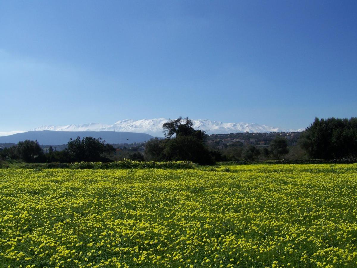 Manolo S Olive Farm, Apartment With Seaview Chania  Ngoại thất bức ảnh
