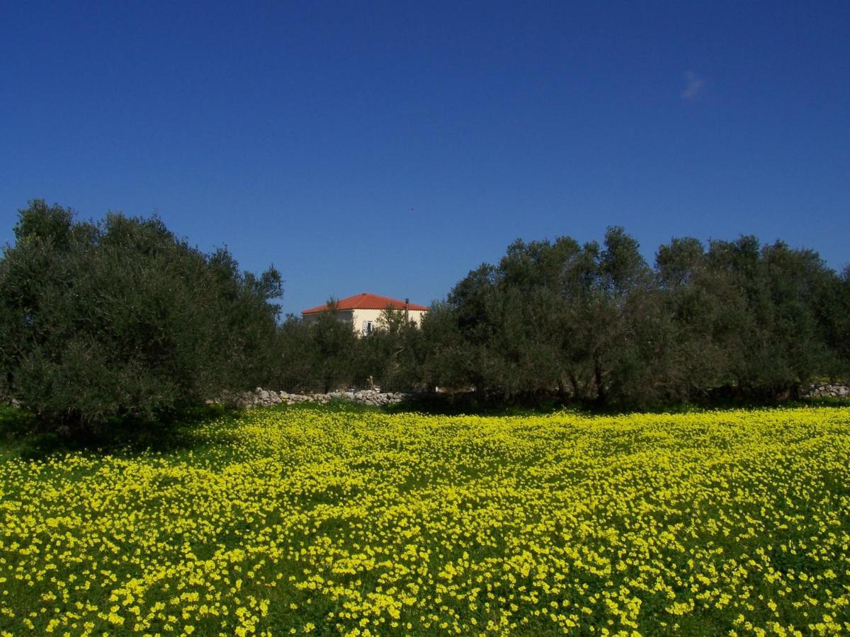 Manolo S Olive Farm, Apartment With Seaview Chania  Ngoại thất bức ảnh