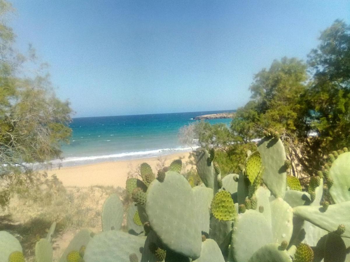 Manolo S Olive Farm, Apartment With Seaview Chania  Ngoại thất bức ảnh